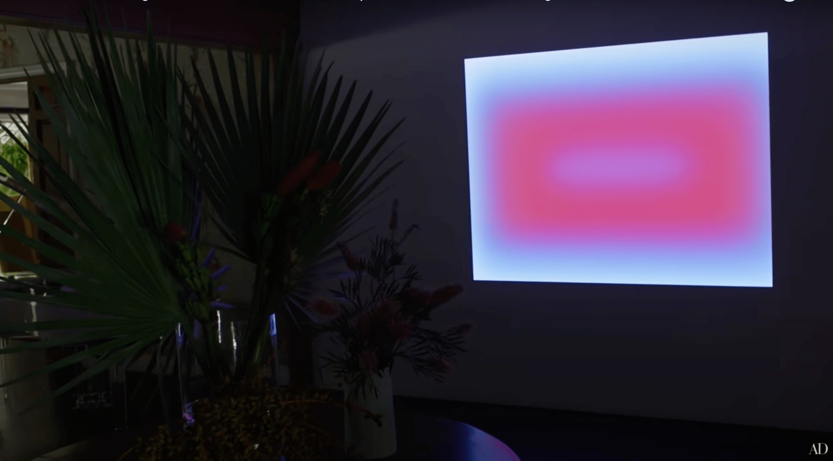 Cara Delevingne's L.A. Home Photos 3