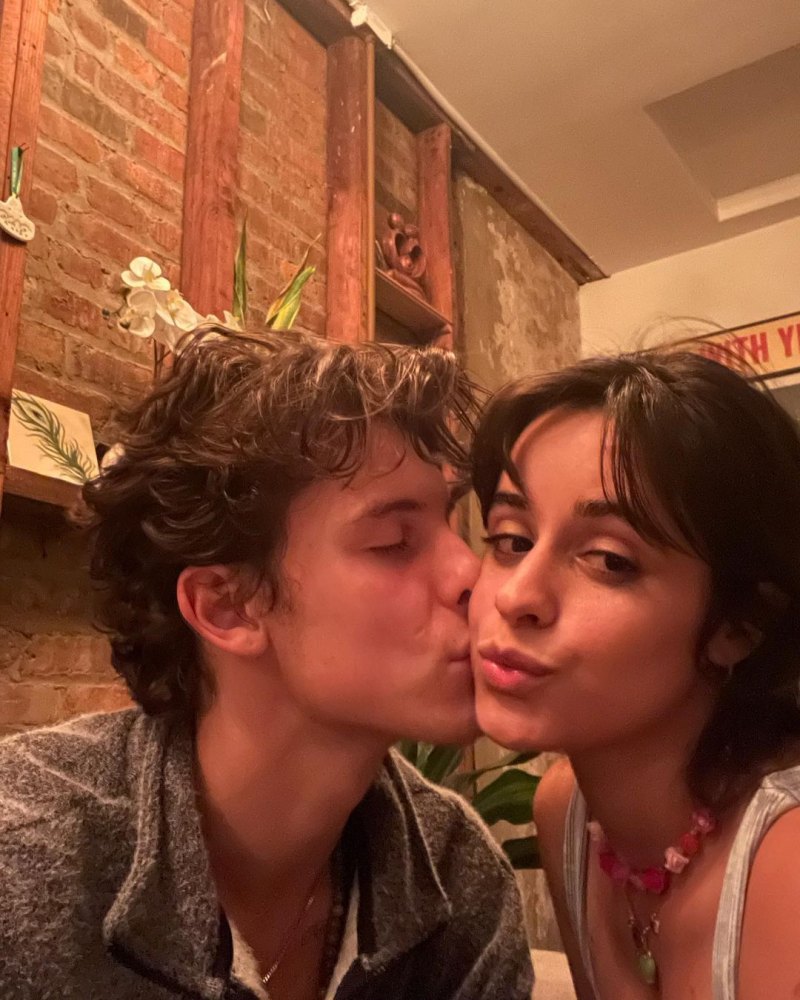 Camila Cabello, Boyfriend Shawn Mendes' PDA-Packed Photos 4