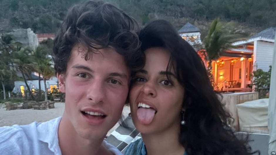 Camila Cabello, Shawn Mendes Wear Matching Sweats in NYC