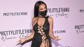 Doja Cat Goes Braless and Rocks See-Through Dress During Night Out