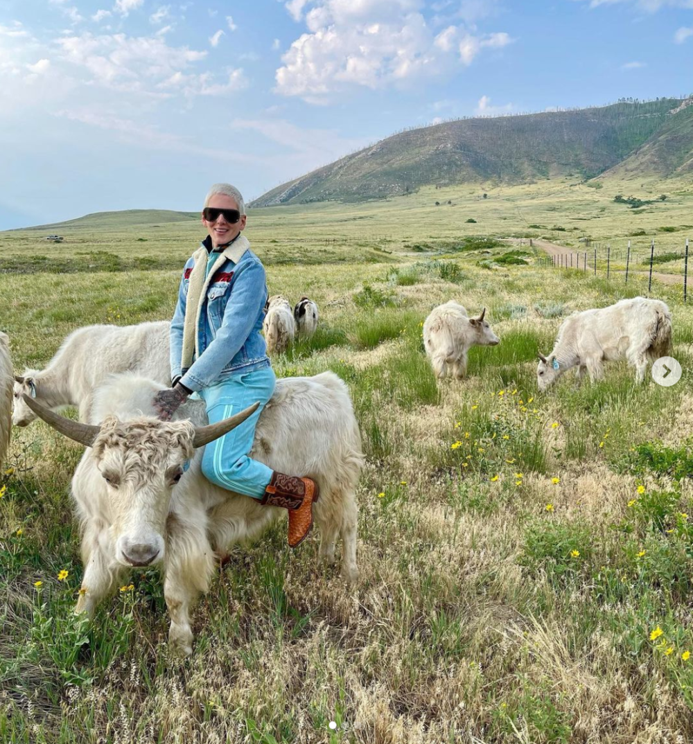 Jeffy Star Ranch Jeffree Star's Wyoming Ranch Tour: Photos of the 70-Acre Property ...