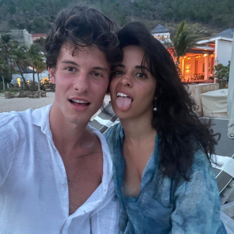 From Friends to Lovers! Camila Cabello and Shawn Mendes' Relationship Timeline