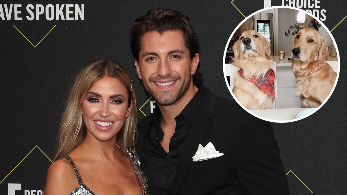 Jason Tartick Hit By a Car While Walking With Kaitlyn, Dogs