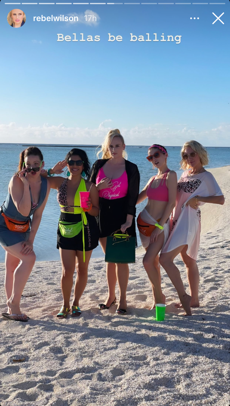 rebel-wilson-weight-loss-rebel-island-party