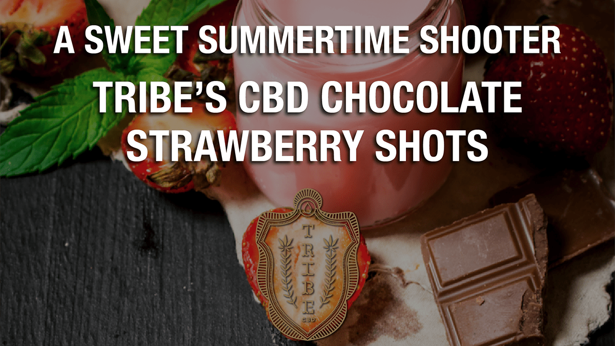 Tribe CBD
