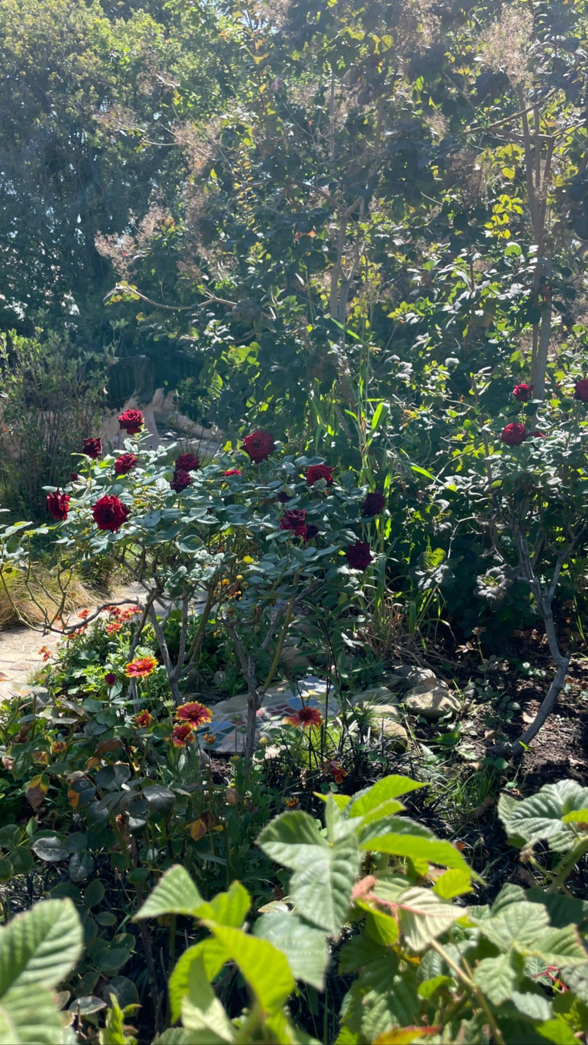 Kourtney and Travis Tour the Spooky ‘Witch’s House’ in Beverly Hills