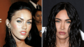 Plastic Surgery? See Megan Fox's Transformation Right Before Your Eyes