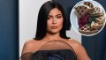 What Does Kylie Jenner Eat?