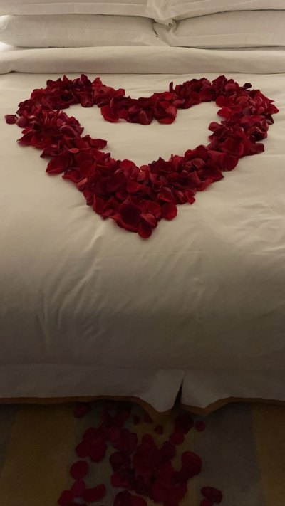 Travis Barker and Kourtney Kardashian's Bed of Rose Petals to Celebrate Engagement