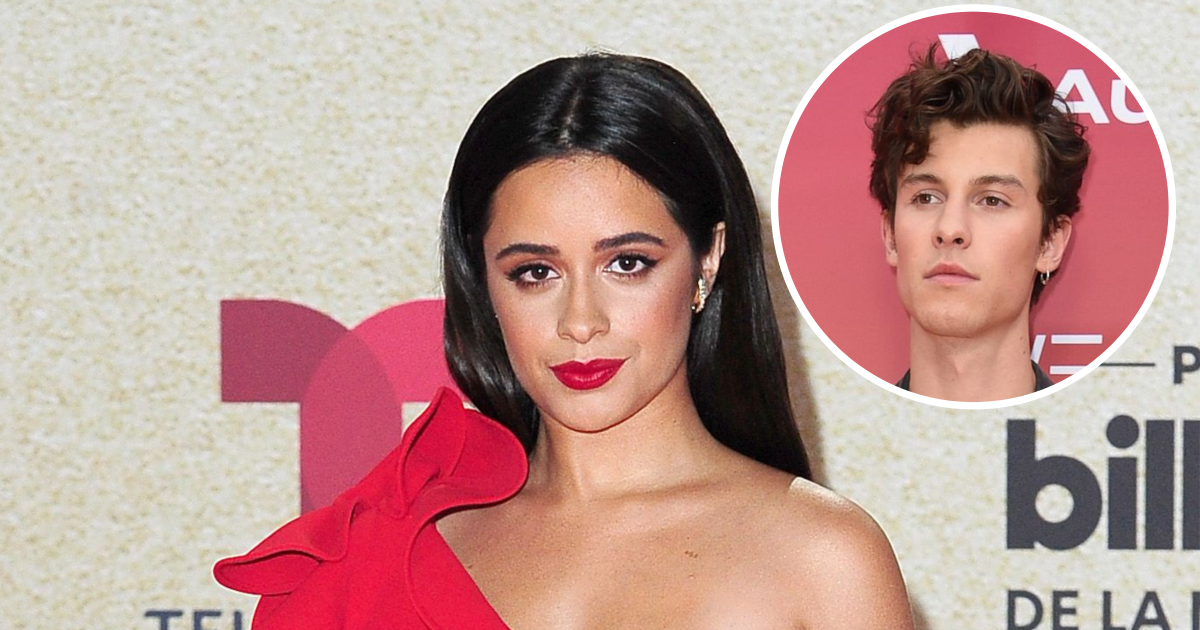 Camila Cabello Wrote Breakup Songs After Shawn Mendes Split