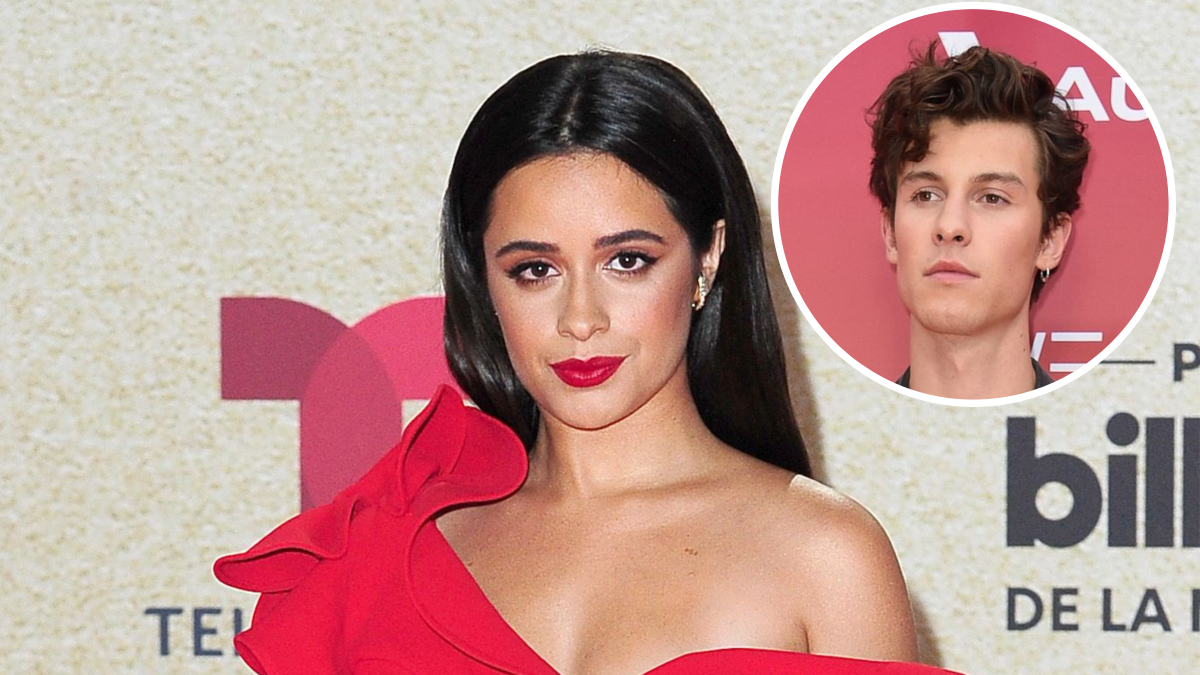 Camila Cabello Wrote Breakup Songs Amid Shawn Mendes Split
