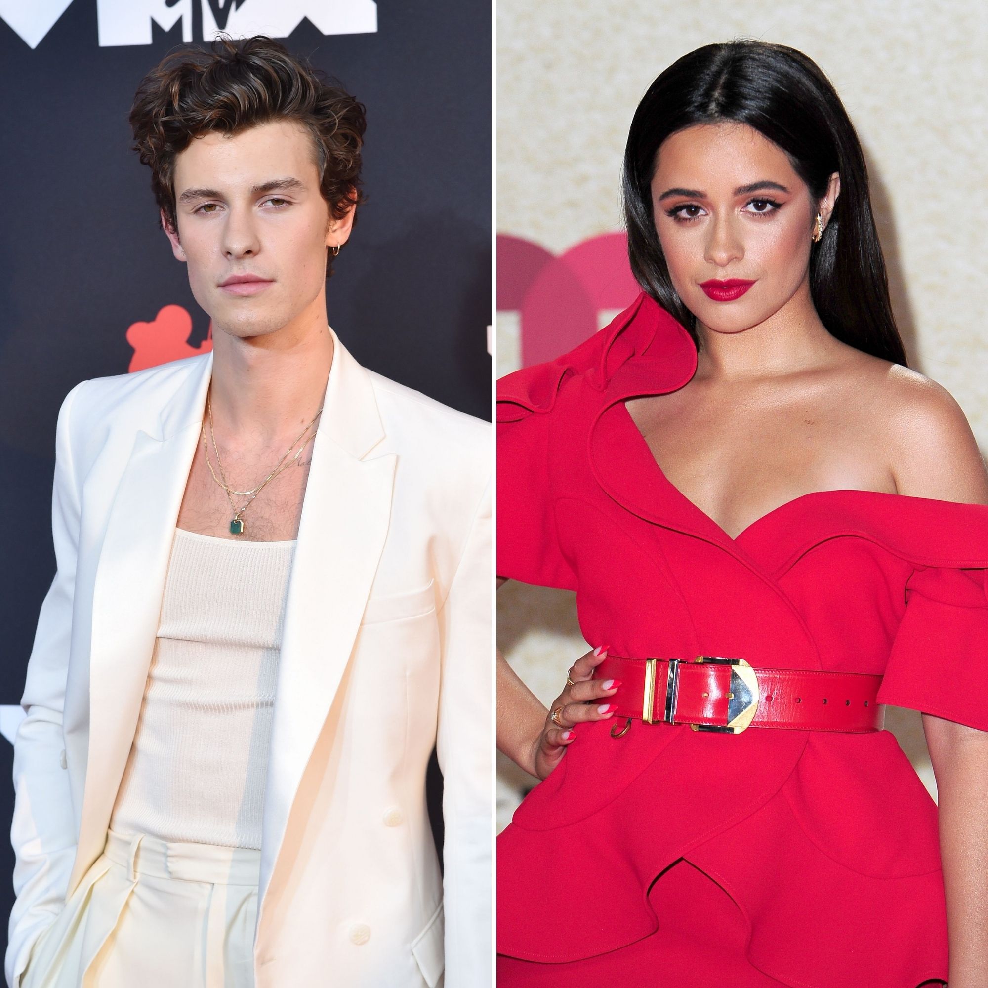 Why Did Camila Cabello and Shawn Mendes Split? 'It Was Time to Move On' Before Their Breakup