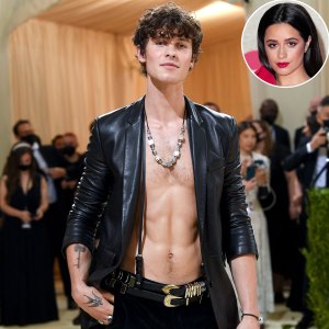 Shawn Mendes Shares Sexy Shirtless Photos in 1st Post Since Camila Cabello Split
