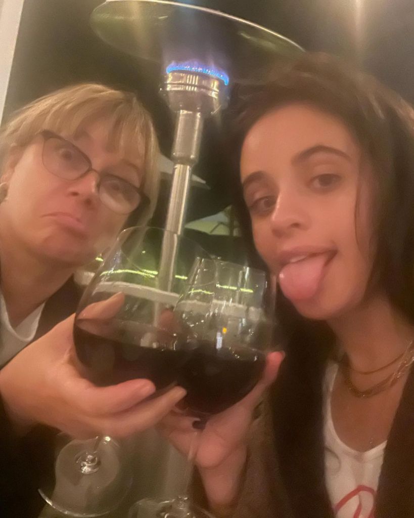 Supportive Mama! Camila Cabello Drinks Wine With Mom Following Shawn Mendes Split: 'Big Fat Dump' 