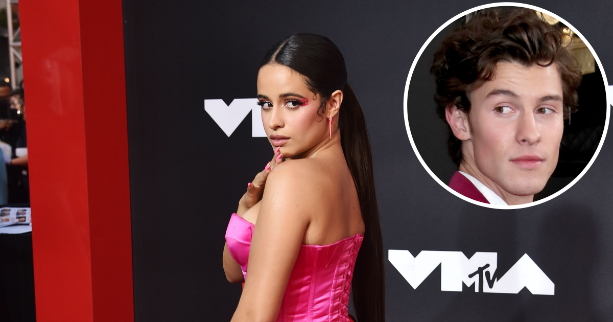 Camila Cabello Celebrates Thanksgiving With Her and Ex-Boyfriend Shawn Mendes’ Dog Tarzan - Life & Style Weekly