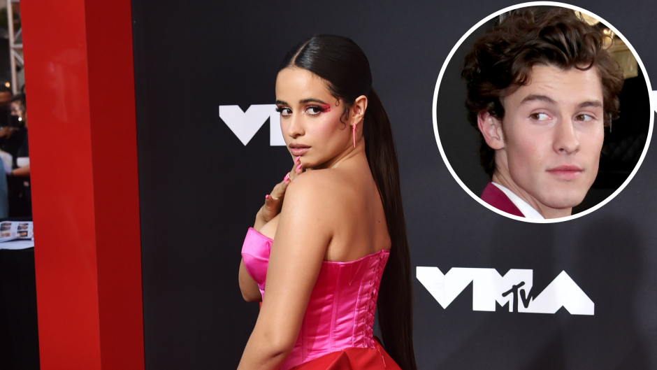 Camila Cabello Celebrates Thanksgiving With Her and Ex-Boyfriend Shawn Mendes' Dog Tarzan