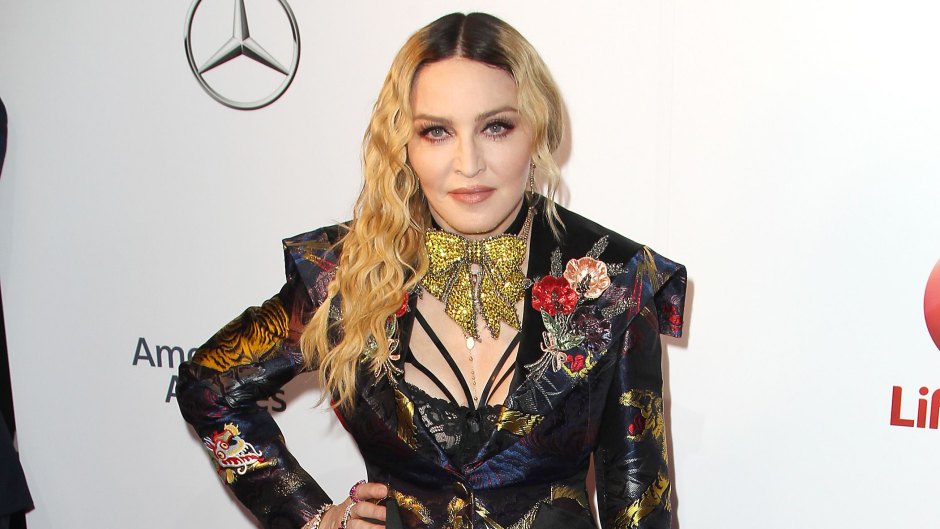 Madonna Slams Instagram for Removing Photo