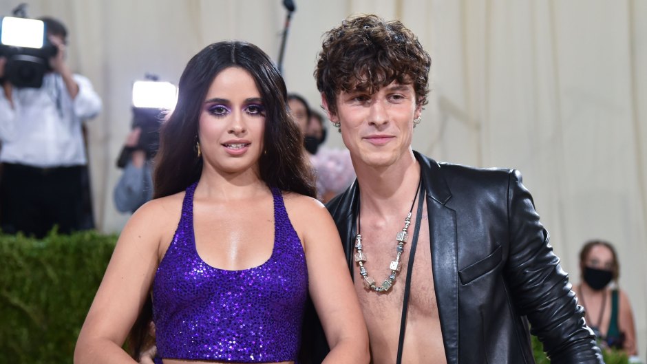 Did Camila Cabello and Shawn Mendes Split? Speculation, Rumors