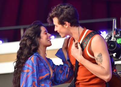 Did Camila Cabello and Shawn Mendes Split? Breakup Rumors