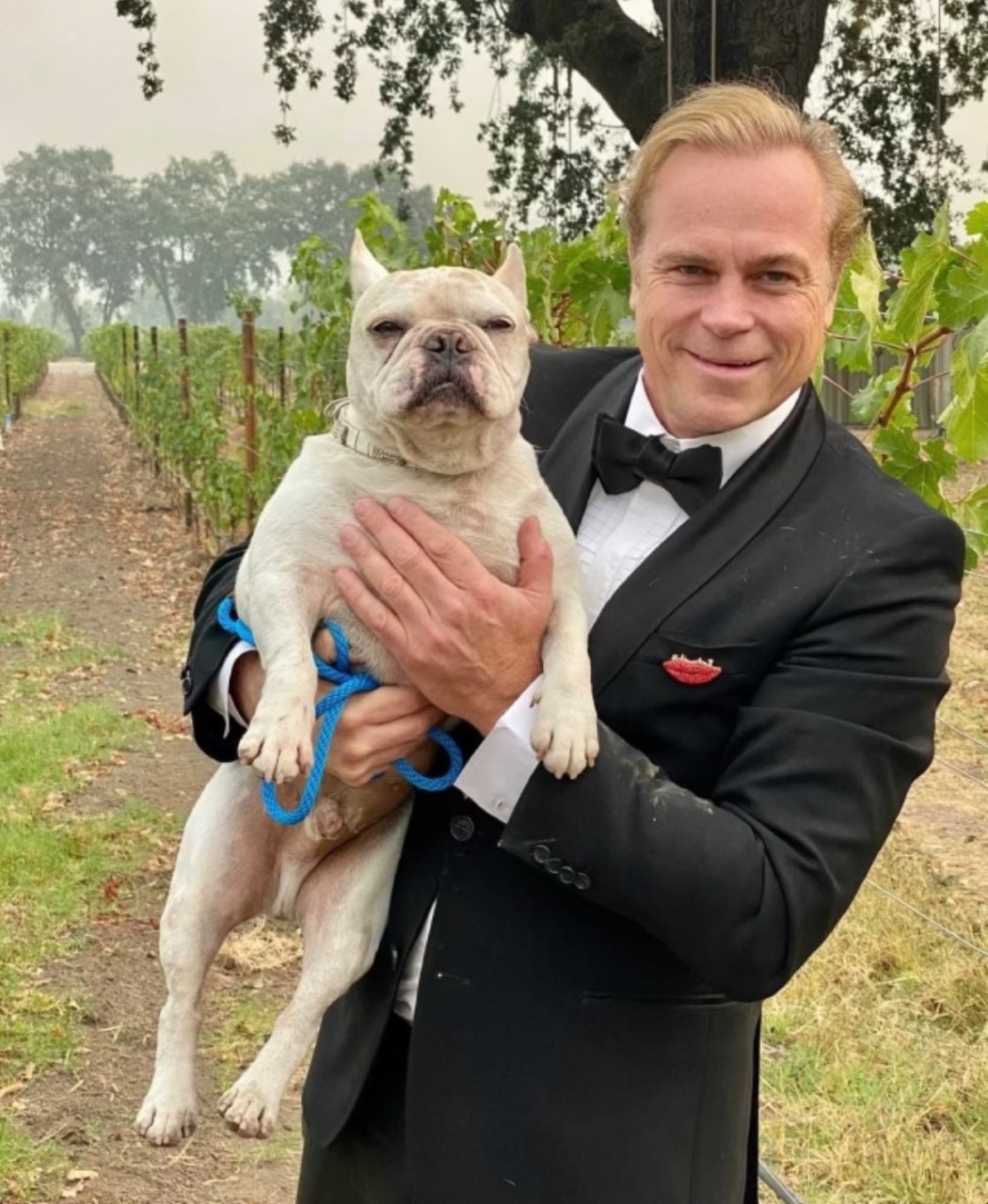 Boisset