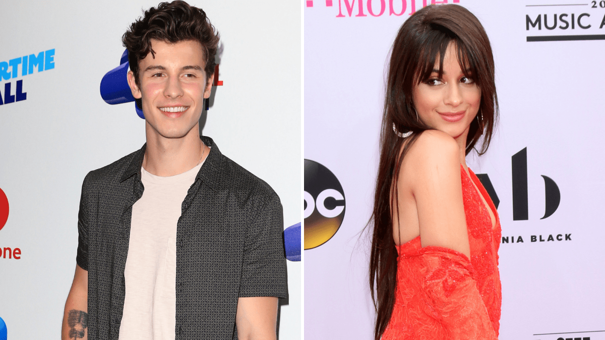Camila Cabello Supports Shawn Mendes Itll Be Ok Song