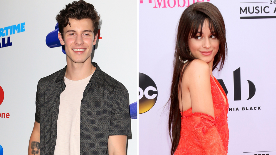Camila Cabello Supports Shawn Mendes Itll Be Ok Song