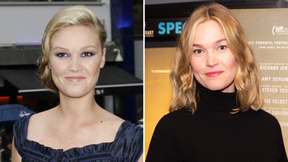 Did Julia Stiles Ever Get Plastic Surgery? See If the Actress Ever Went Under the Knife 