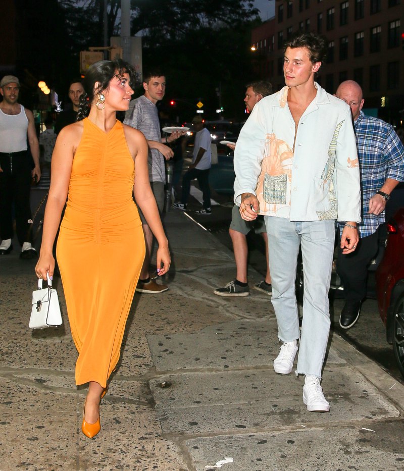 Camila Cabello Breaks Silence Shawn Mendes Split