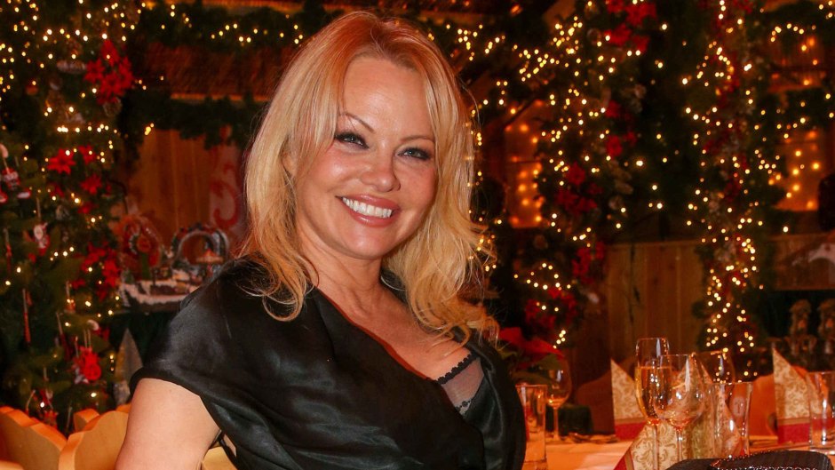 Pamela Anderson’s Impressive Net Worth Comes From Modeling and Acting: Learn More About Her Career!