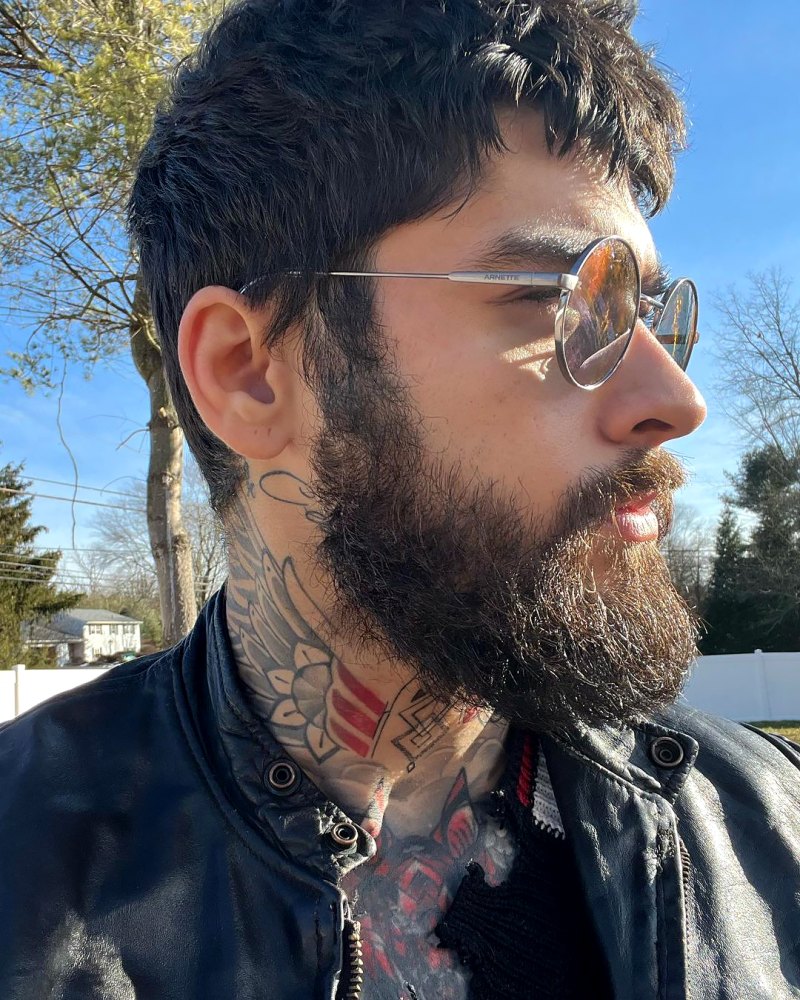 Zayn Malik Transformation
