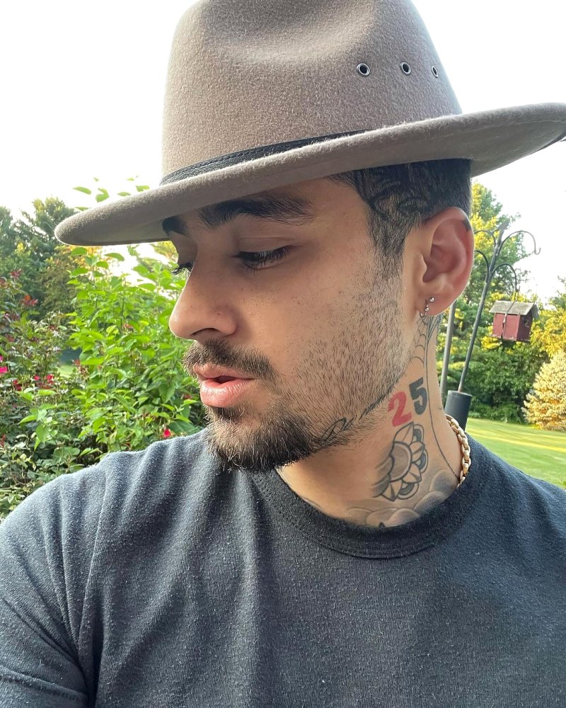 Zayn Malik Transformation