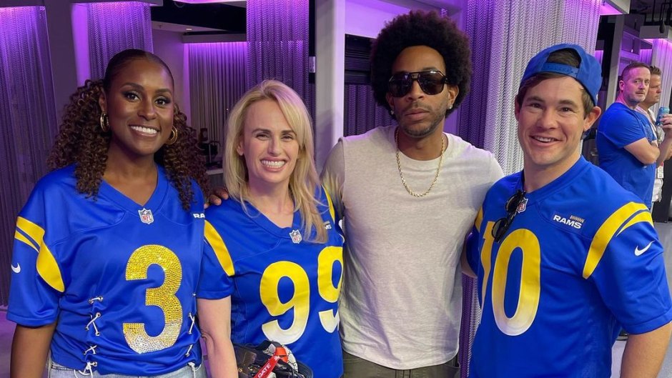 Celebrities at the Super Bowl