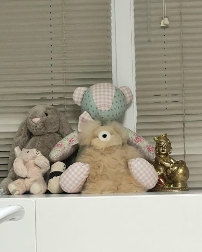 Priyanka Chopra and Nick Jonas Daughter's Nursery- Actress Shows Off First Look With Stuffed Animals and More