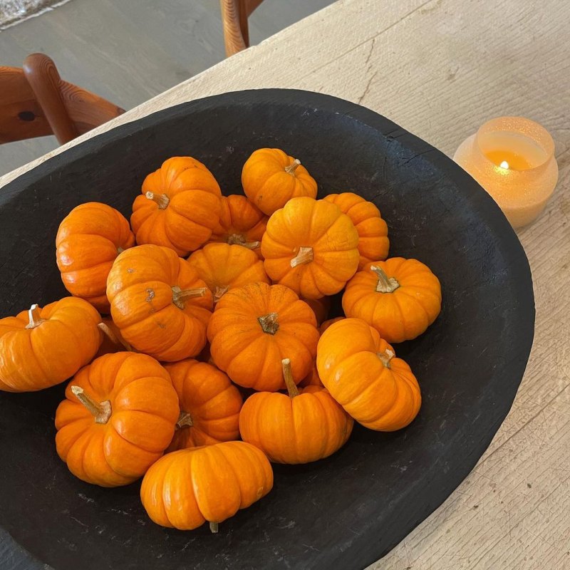 Kylie Jenner Home Pumpkins