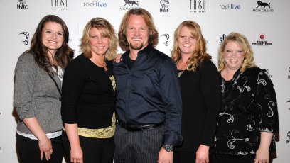 'Sister Wives' Tell-All Part 2: What Happened, Big Revelations
