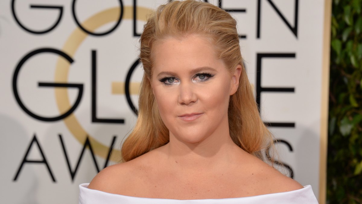 Amy Schumer Has an Impressive Net Worth! How The ‘Life and Beth’ Star Makes Money