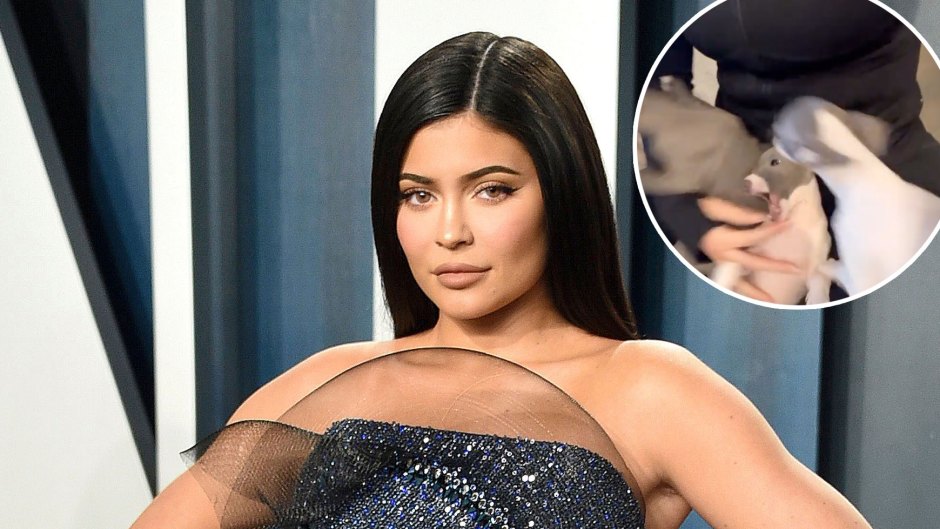 Kylie Jenner Shows Off Super Slim Waist and Flat Tummy 6 Weeks After Giving Birth to Baby Wolf
