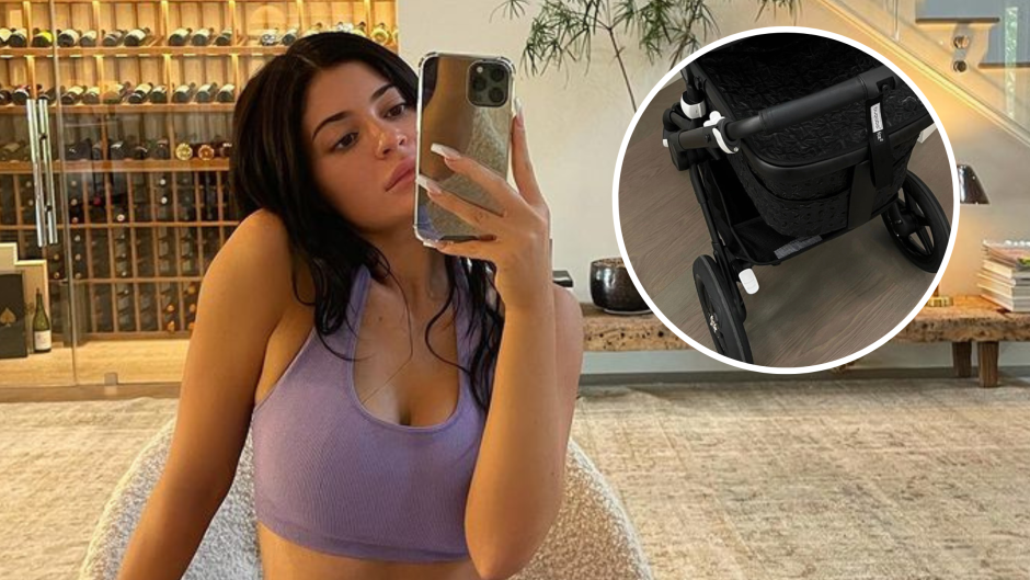 Kylie Jenner's Baby Stroller fro Wolf Photos, Price Details