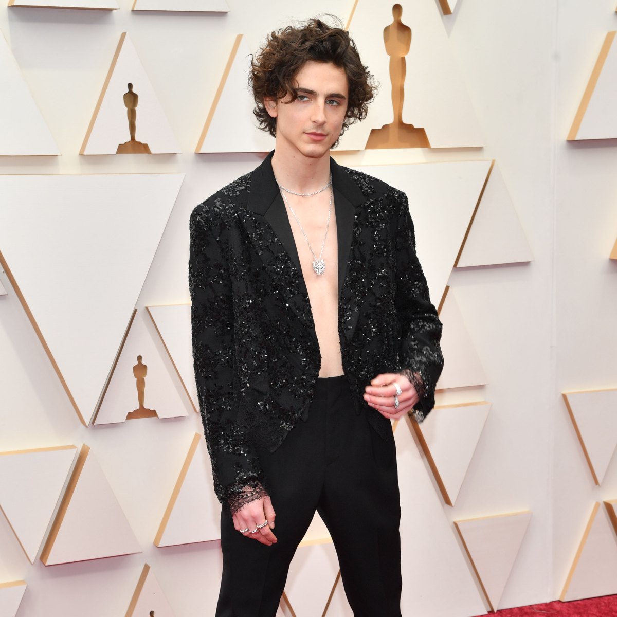 Timothée Chalamet Showed Up Shirtless at the Oscars
