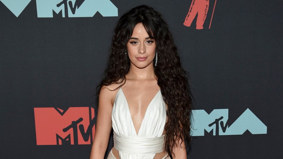 Single and Ready to Mingle! Camila Cabello Reveals Her DM Activity After Shawn Mendes Split