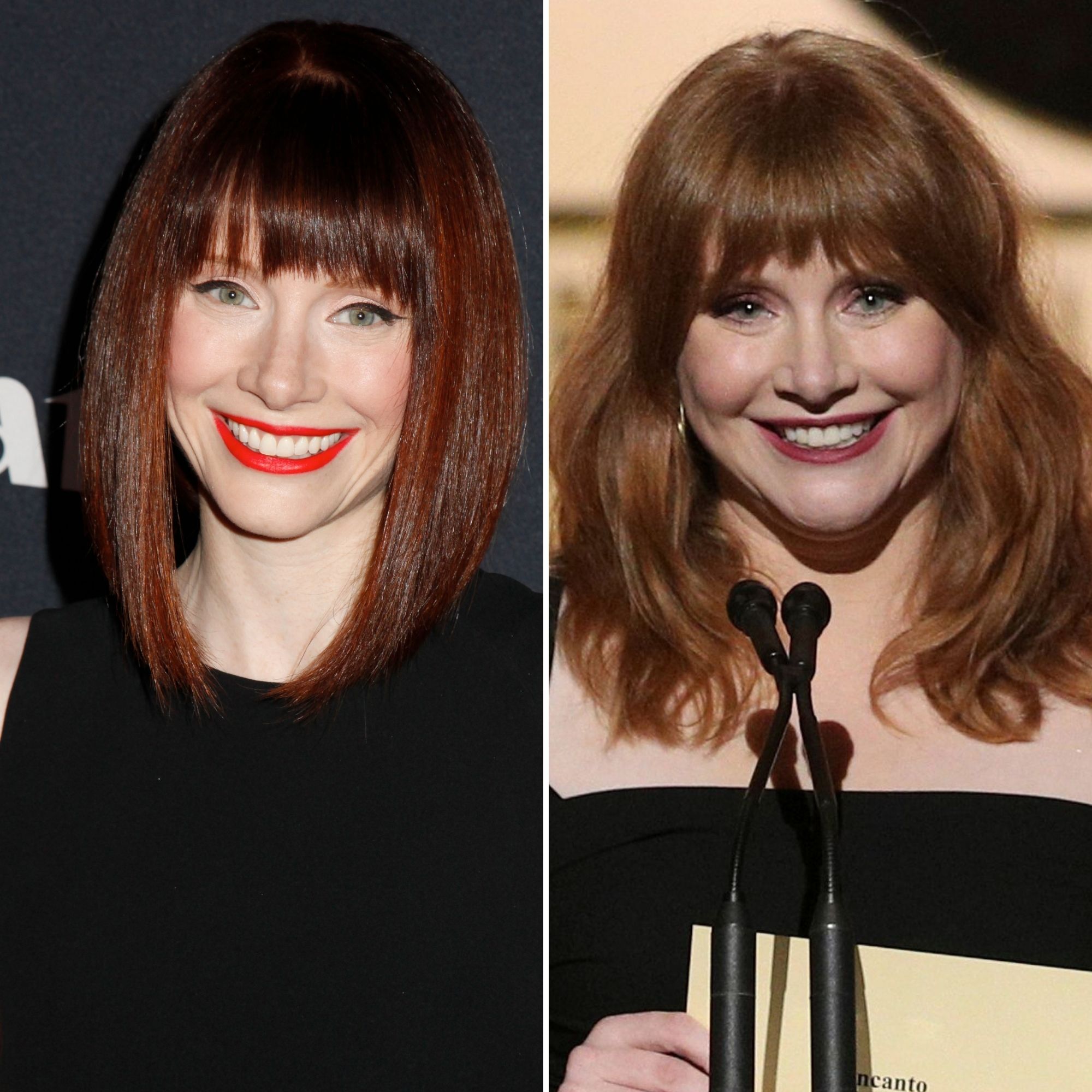 Did Bryce Dallas Howard Get Plastic Surgery? Her Transformation