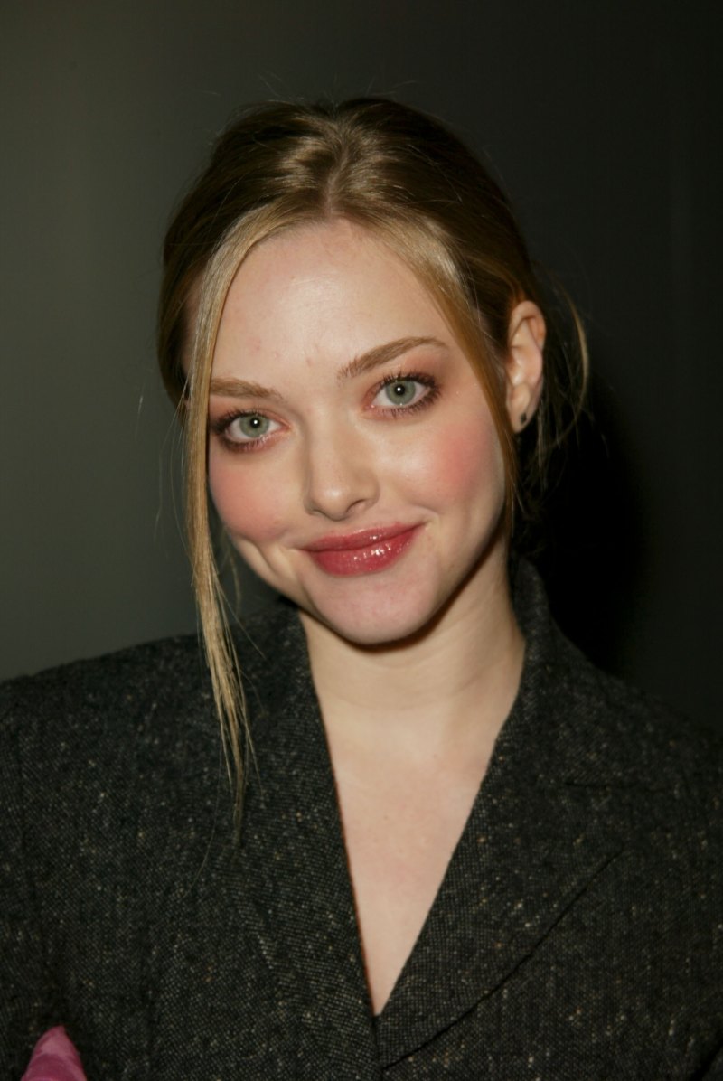 Mama Mia! Amanda Seyfried Has Not Aged! See the Actress’ Transformation Through the Years