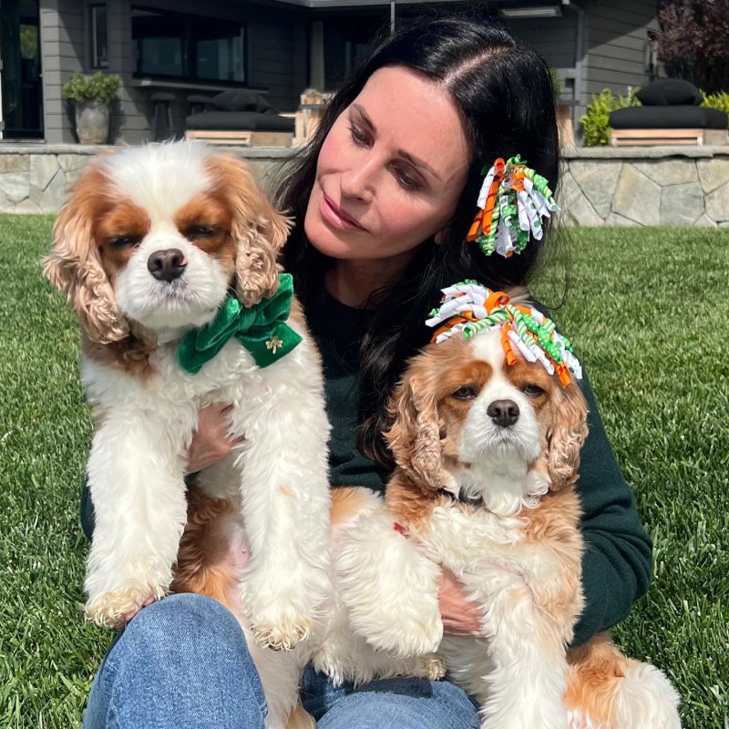 Courteney Cox Isn’t Afraid to Go Au Naturel! See Unfiltered Photos of the Actress With No Makeup
