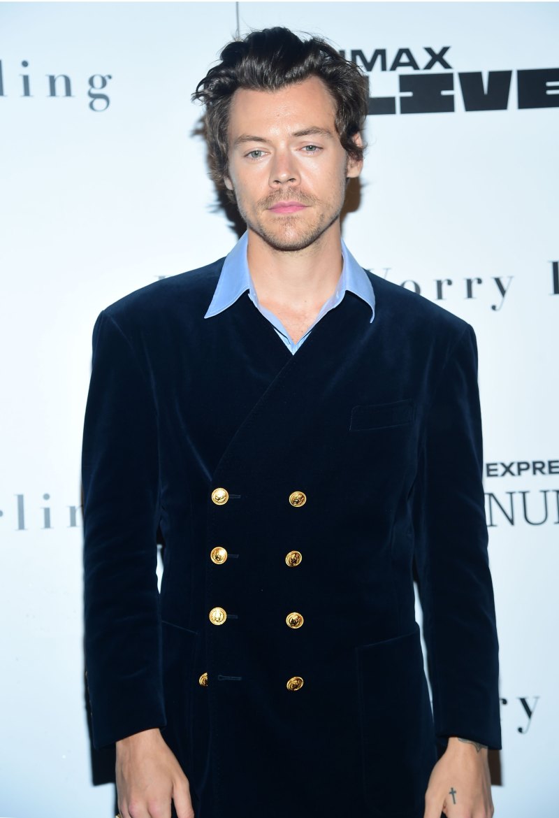 Harry Styles net worth