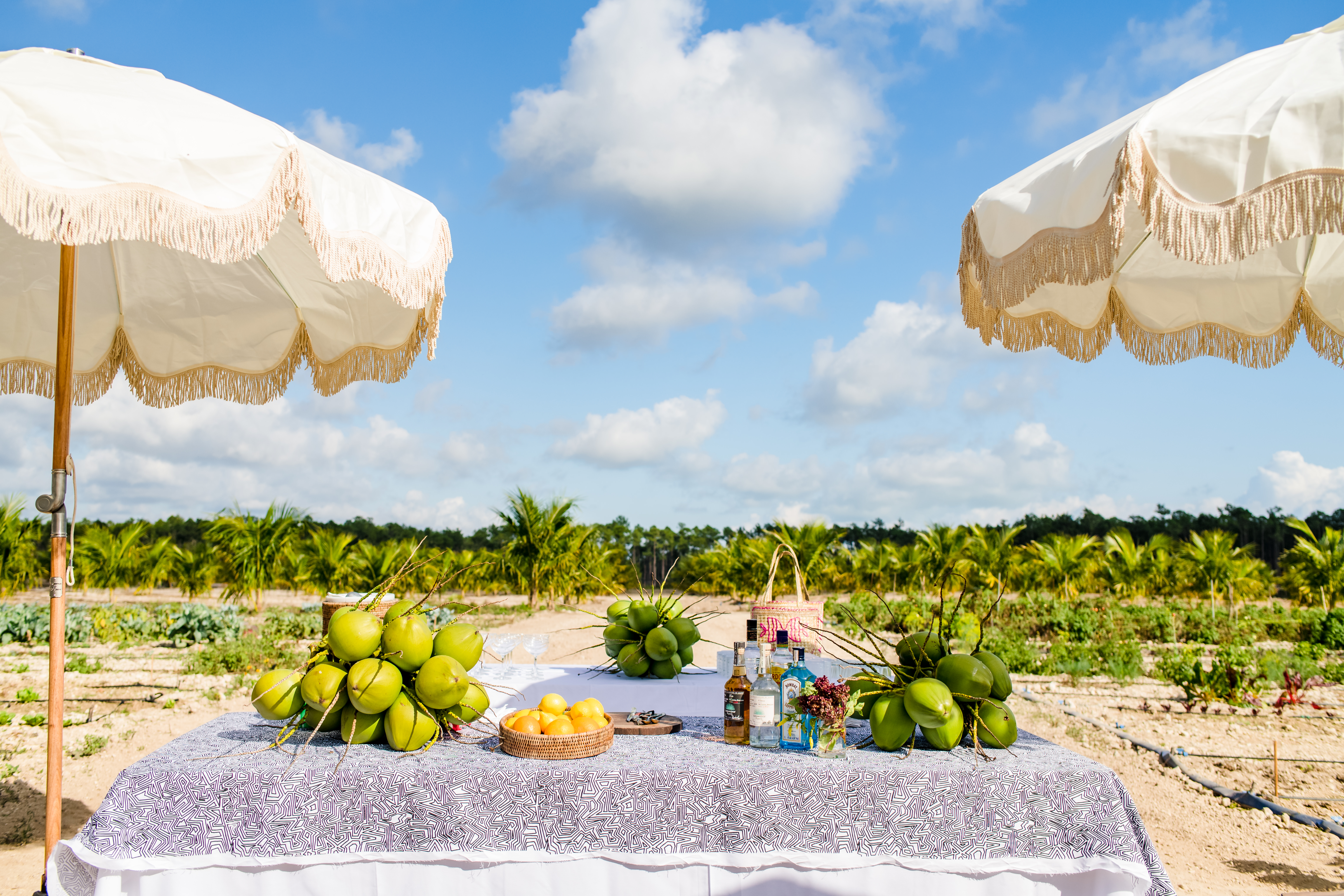 Atlantis Paradise Island Is a Celebrity Hot Spot! Take a Tour Inside the Gorgeous Resort