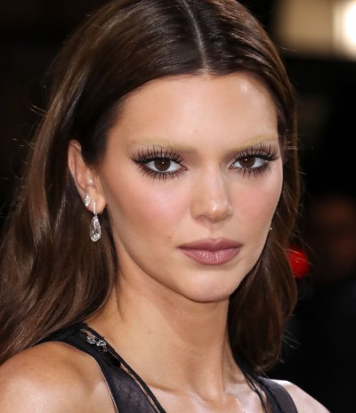 Kendall Jenner Rocks Bleached Eyebrows on the Met Gala Red Carpet: See Photos!