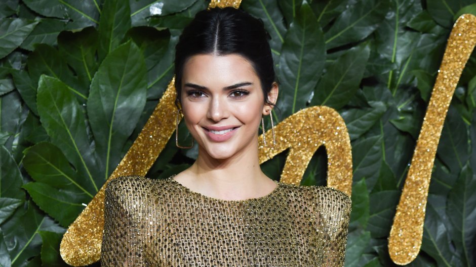 Kendall Jenner Bares All While Posing Braless in a Tiny White Crop Top