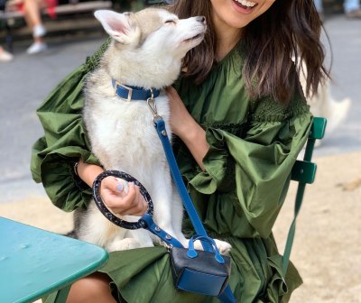 Shaya Pets