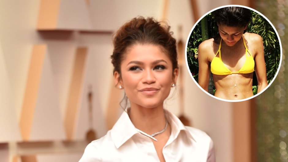 Zendaya’s Bikini Pictures Are Abs-olutely Fantastic! See the Actress’ Best Swimsuit Moments