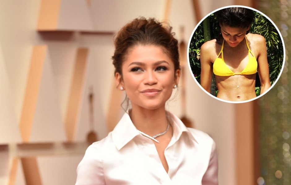 Zendaya’s Bikini Pictures Are Abs-olutely Fantastic! See the Actress’ Best Swimsuit Moments